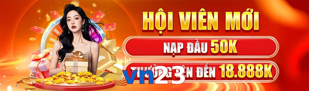 vn23