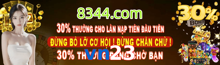 vn23